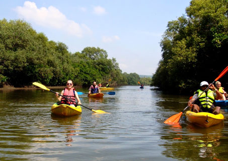 Kayaking through island water